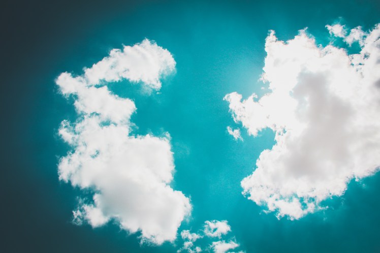 stocksnap_1e7d2cox21